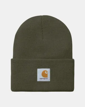 Carhartt Acrylic Watch Hat Plant