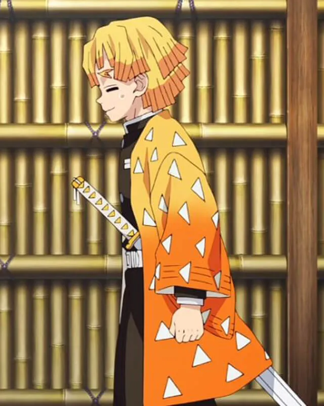 Demon Slayer Zenitsu Agatsuma Coat